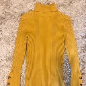 Anthropologie ribbed turtleneck sweater